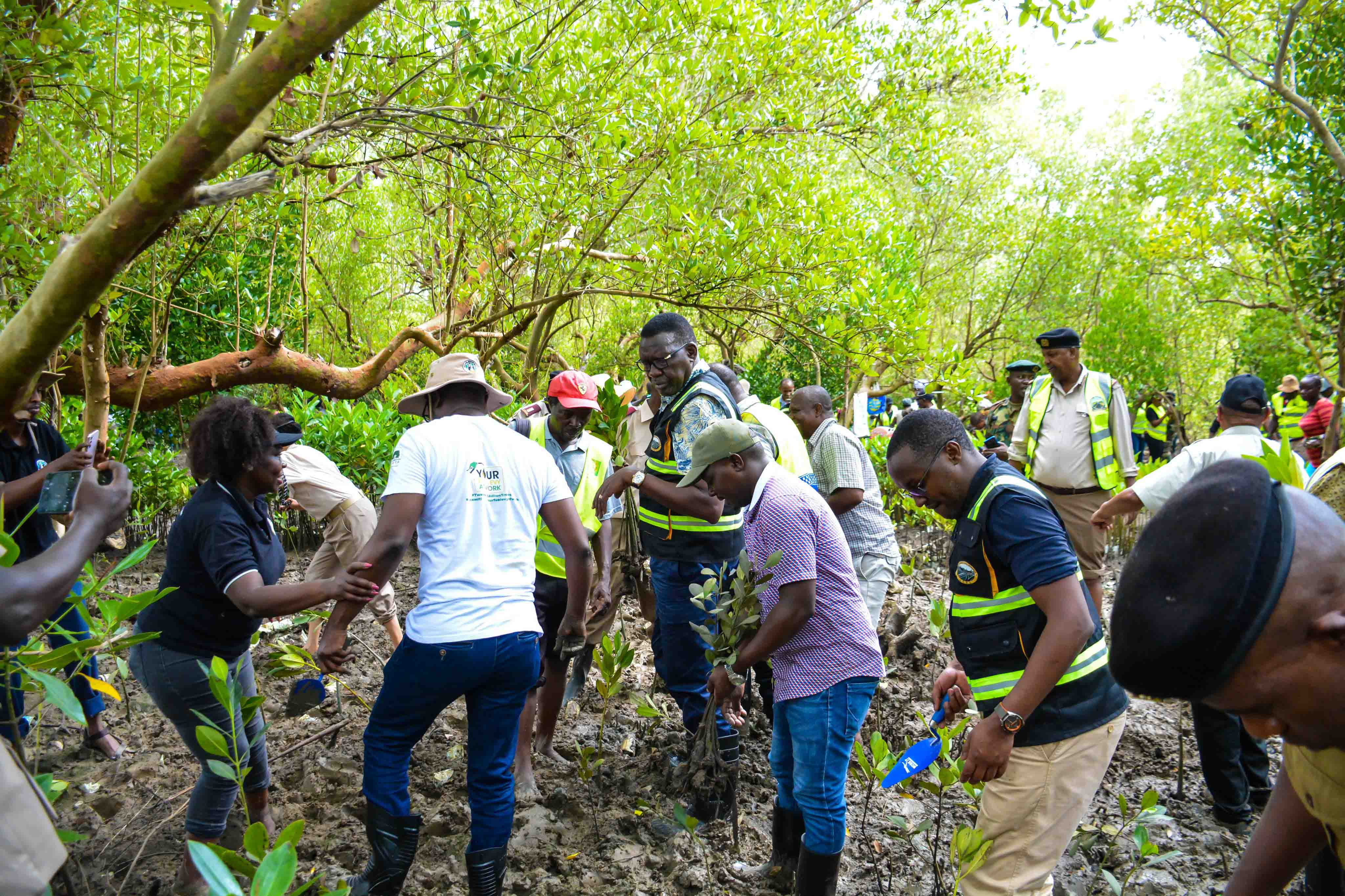 Cabinet Secretary Leads Tree Growing Exercise at Dongo Kundu Creek, Kwale County