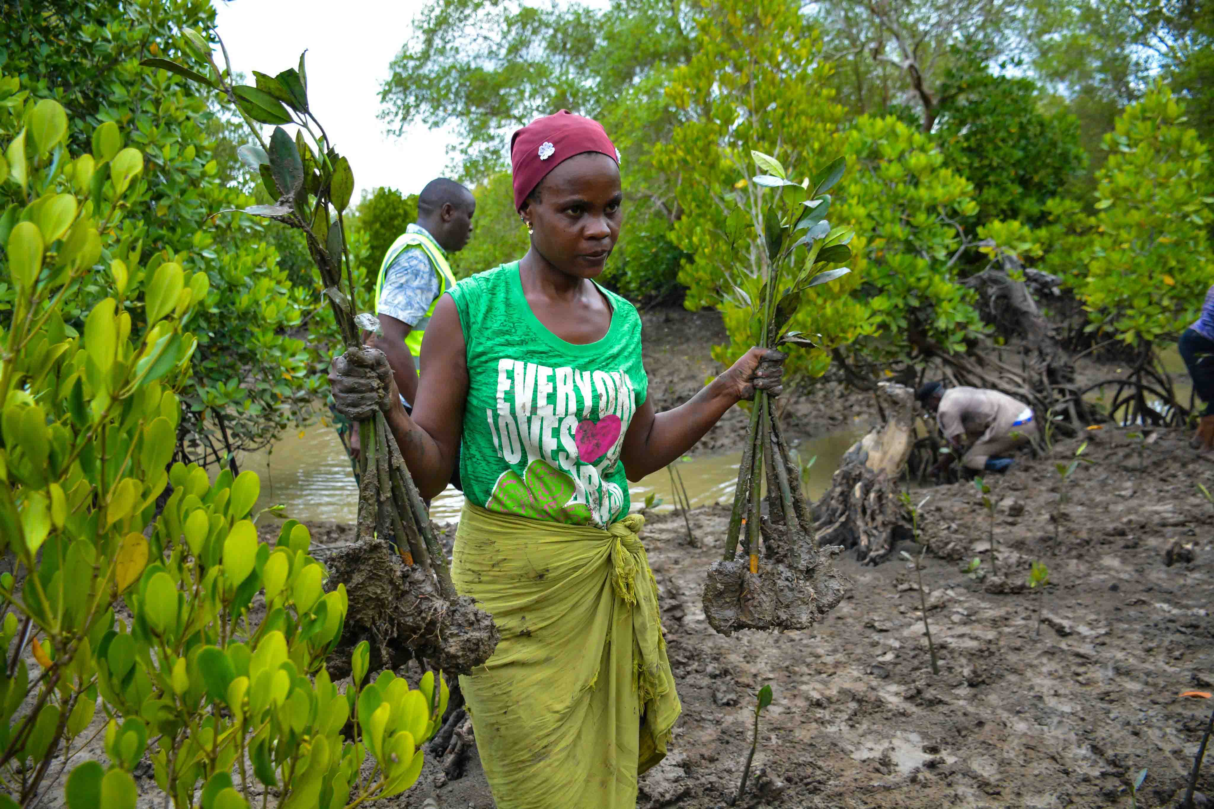 Cabinet Secretary Leads Tree Growing Exercise at Dongo Kundu Creek, Kwale County