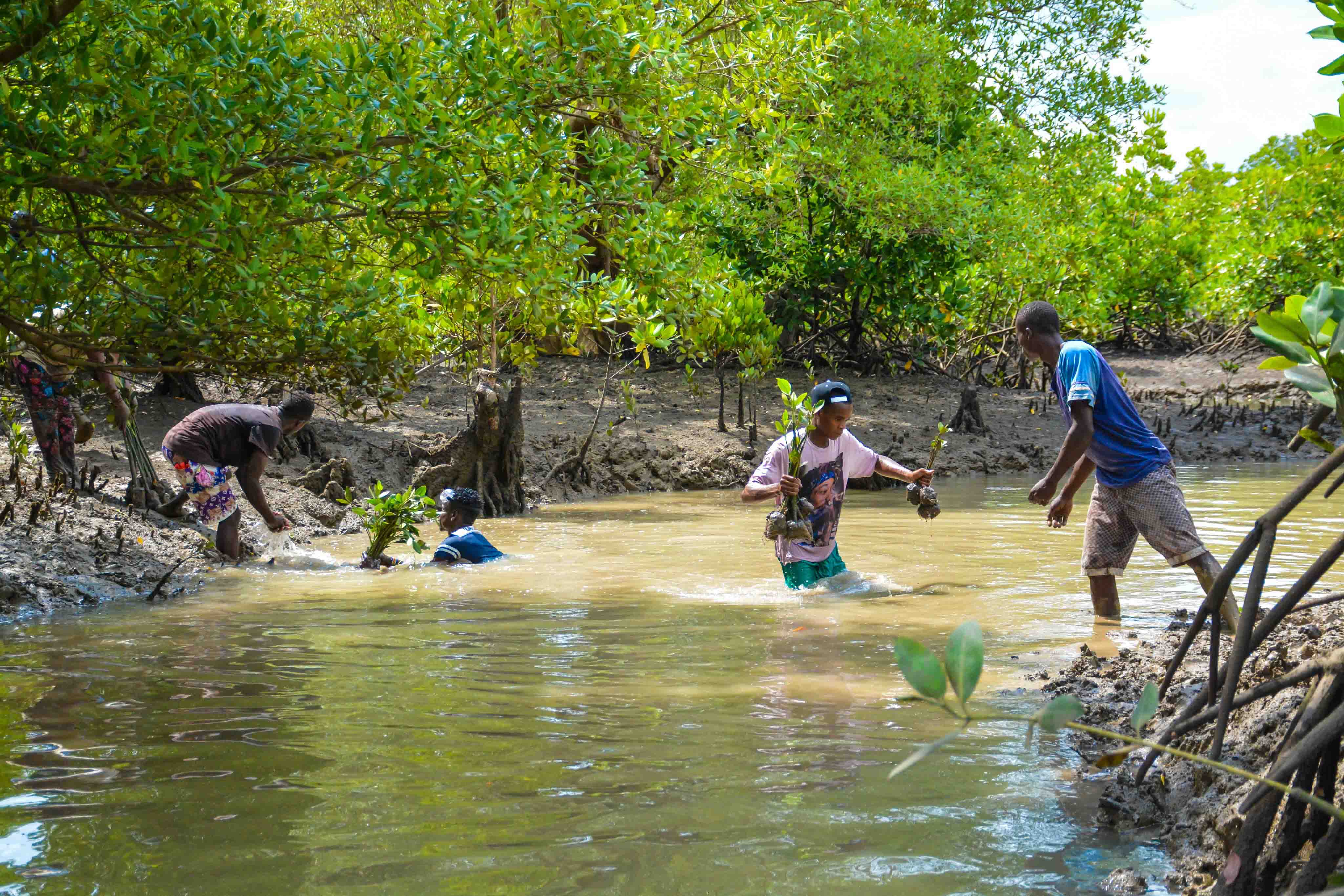 Cabinet Secretary Leads Tree Growing Exercise at Dongo Kundu Creek, Kwale County