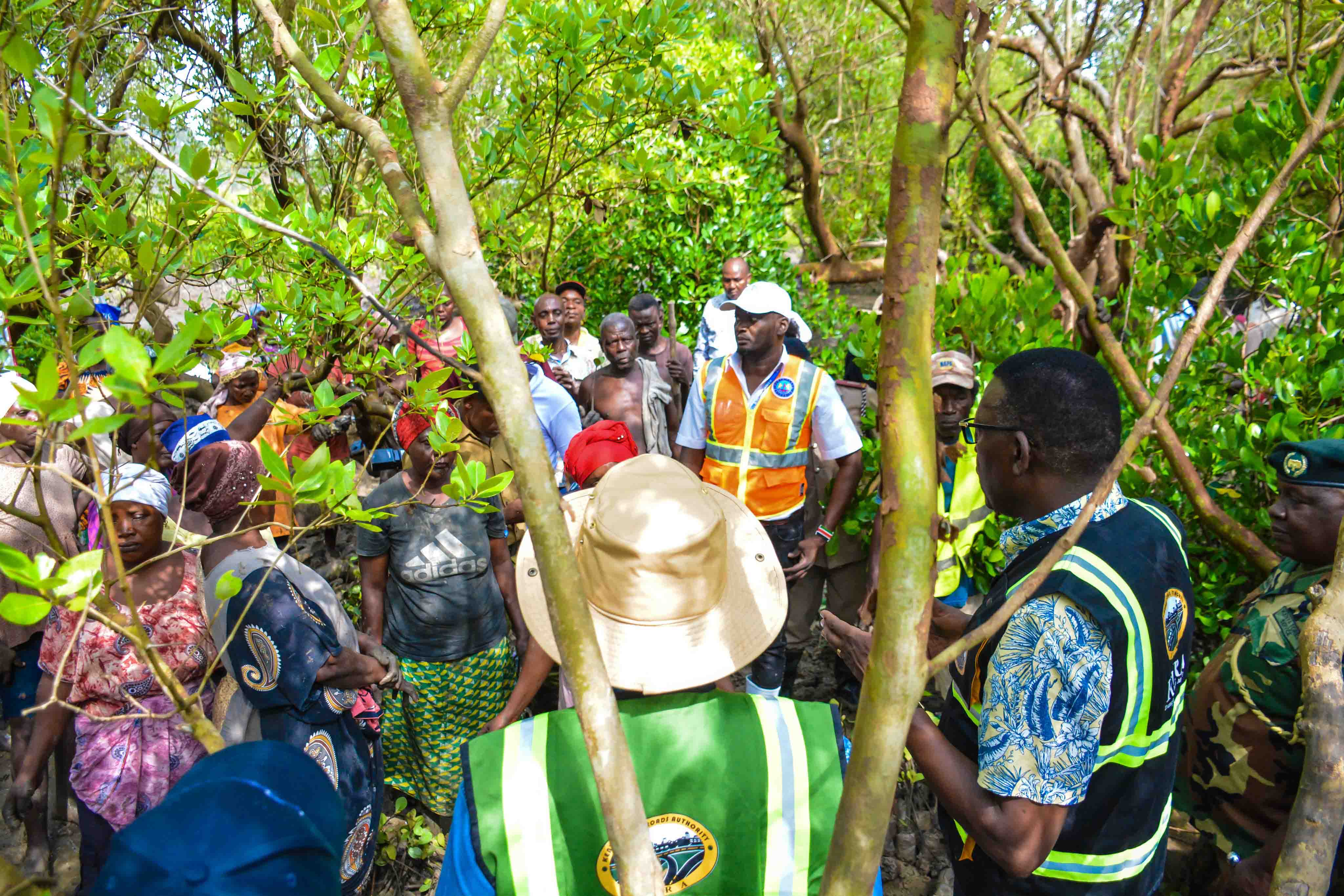 Cabinet Secretary Leads Tree Growing Exercise at Dongo Kundu Creek, Kwale County