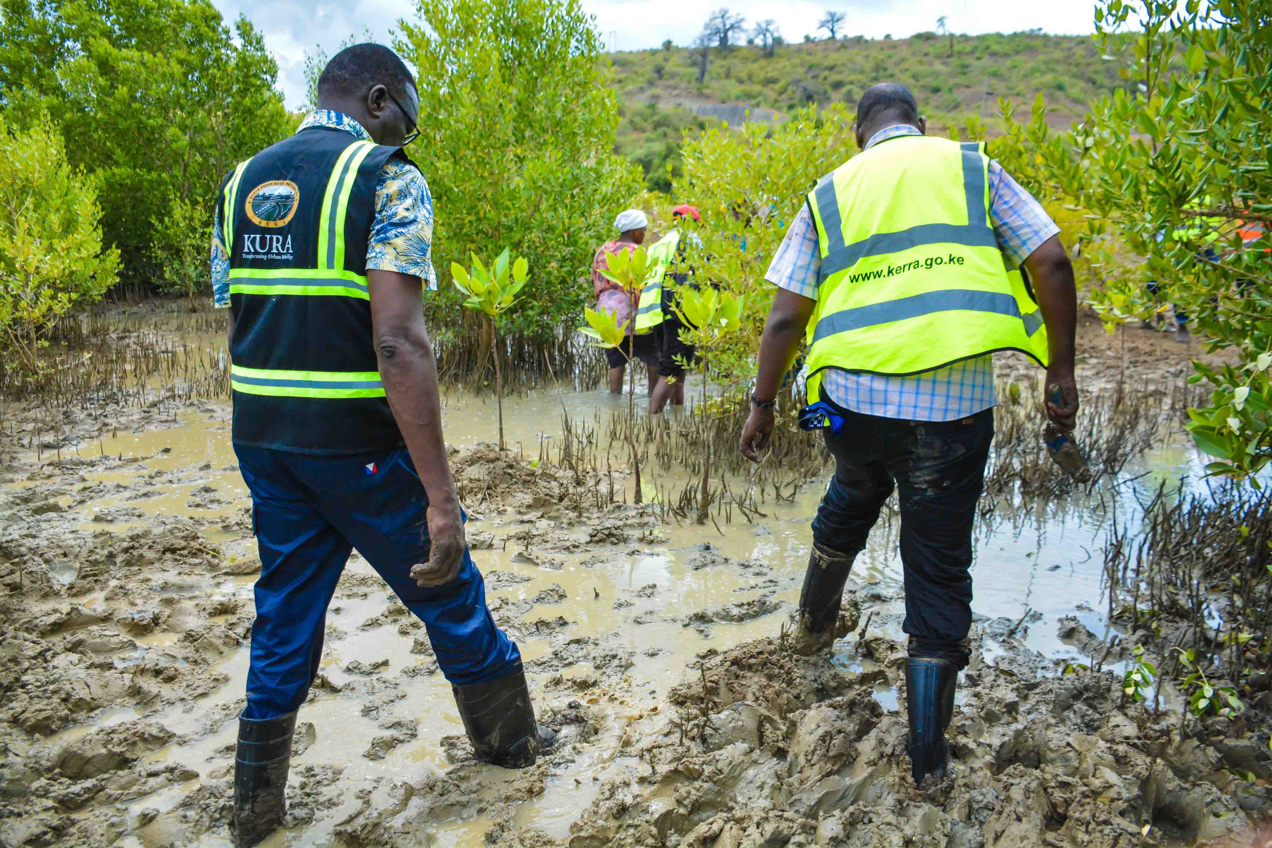 Cabinet Secretary Leads Tree Growing Exercise at Dongo Kundu Creek, Kwale County