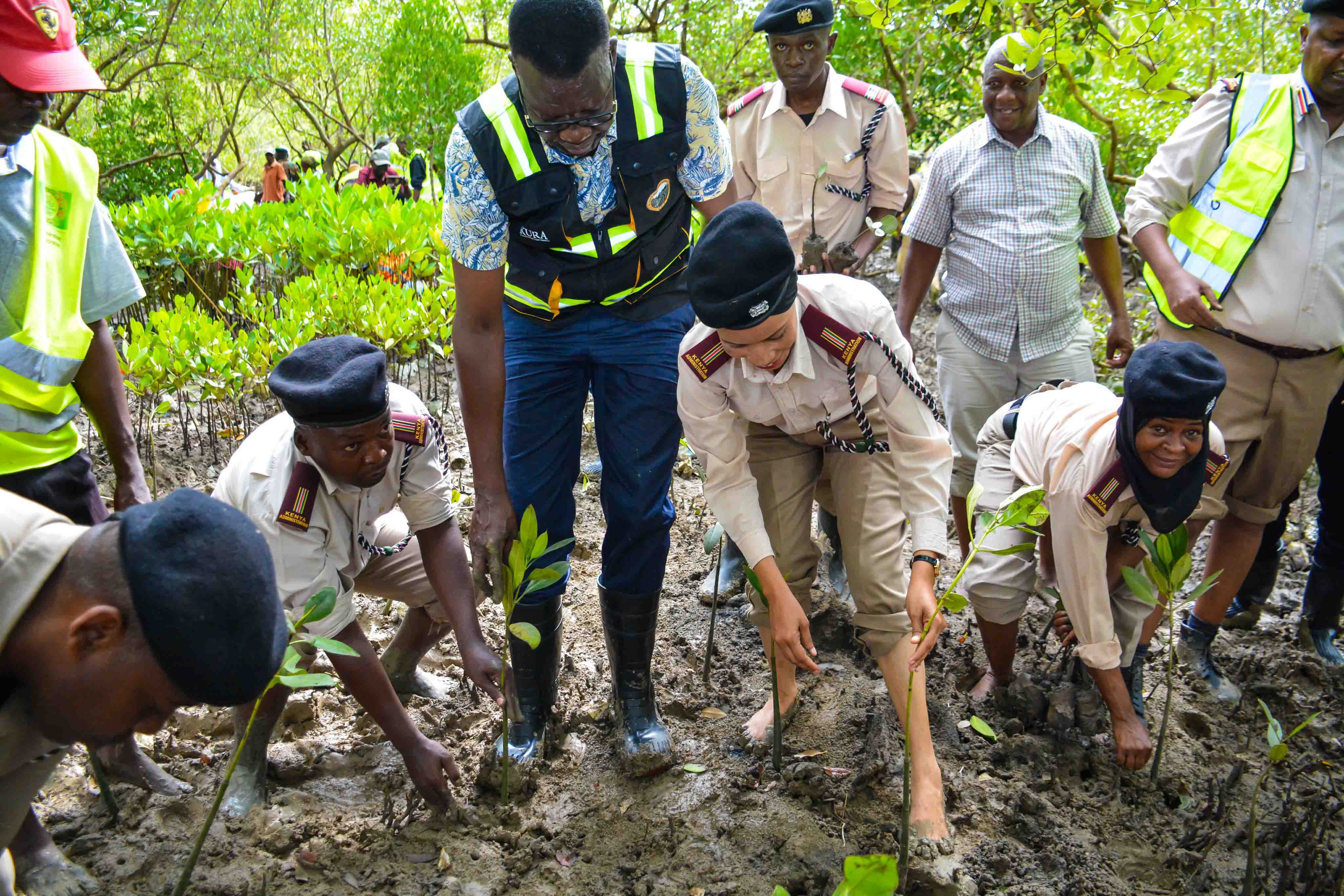 Cabinet Secretary Leads Tree Growing Exercise at Dongo Kundu Creek, Kwale County