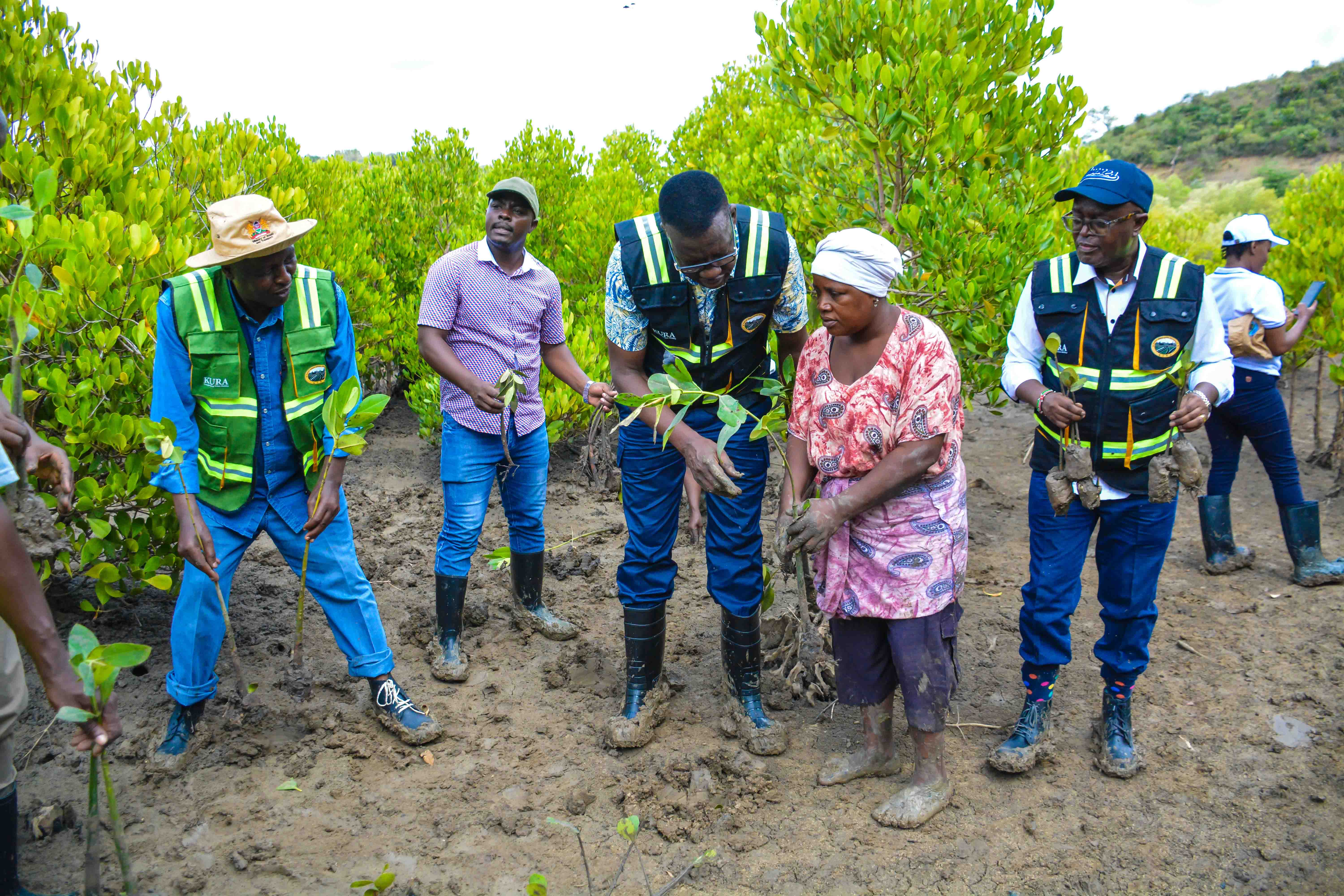 Cabinet Secretary Leads Tree Growing Exercise at Dongo Kundu Creek, Kwale County