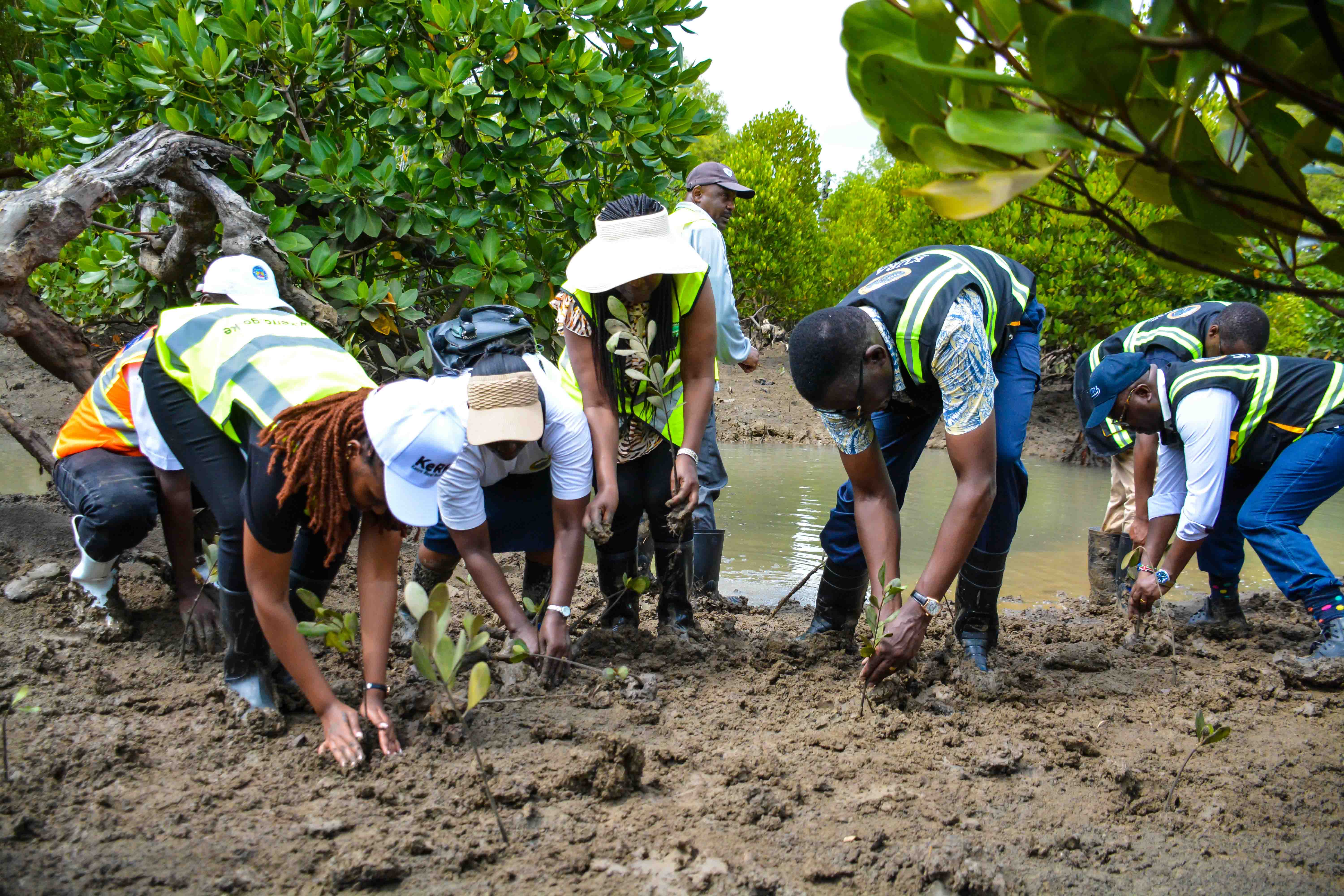 Cabinet Secretary Leads Tree Growing Exercise at Dongo Kundu Creek, Kwale County