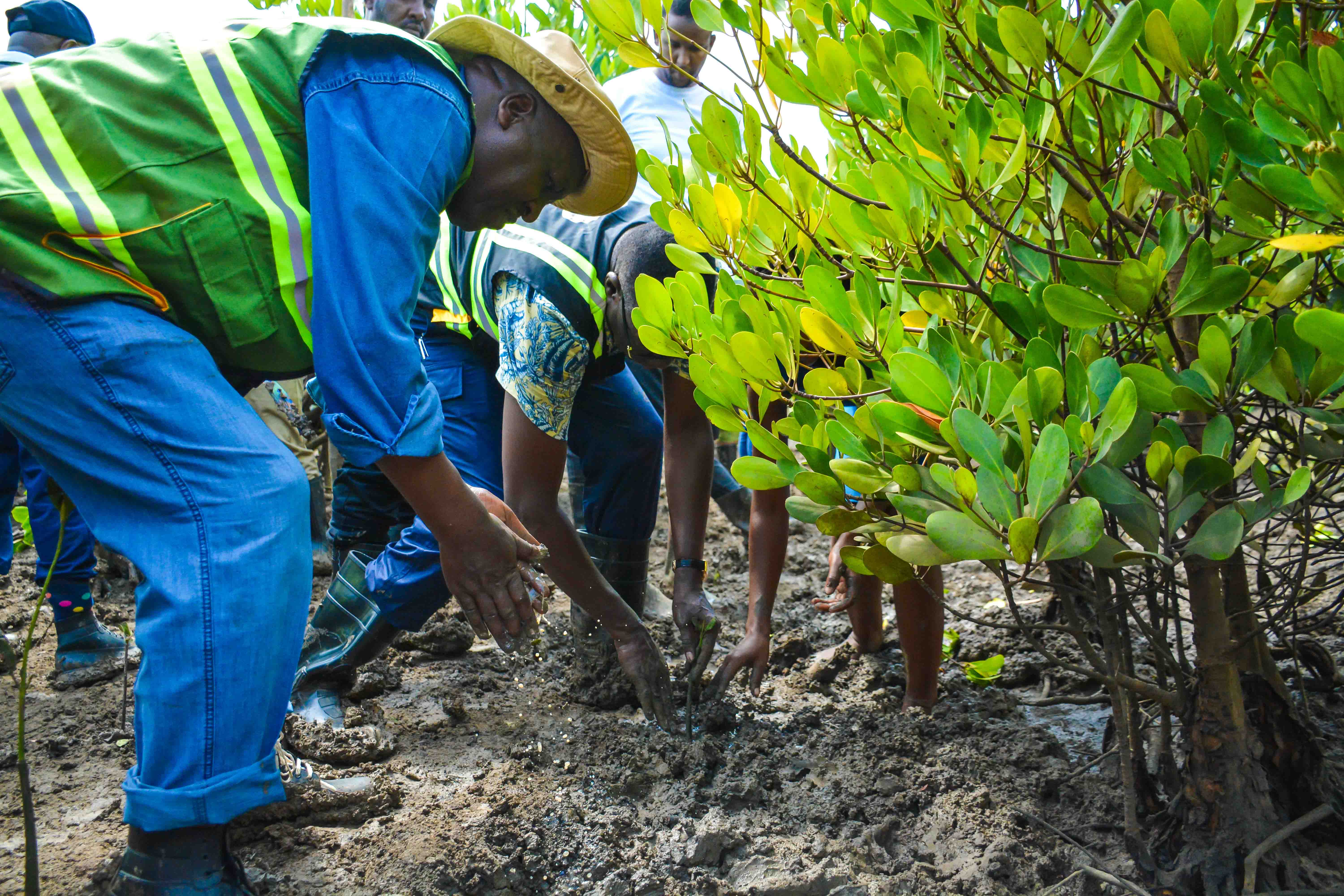 Cabinet Secretary Leads Tree Growing Exercise at Dongo Kundu Creek, Kwale County