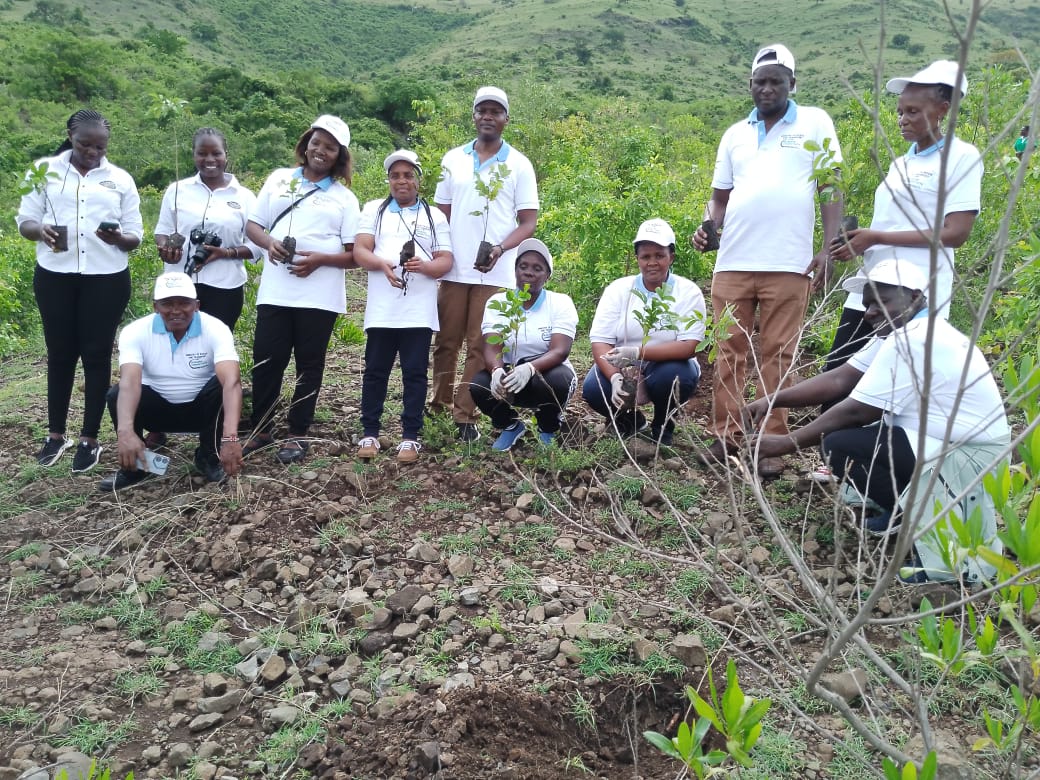 Tree planting day at Gembe-Gera