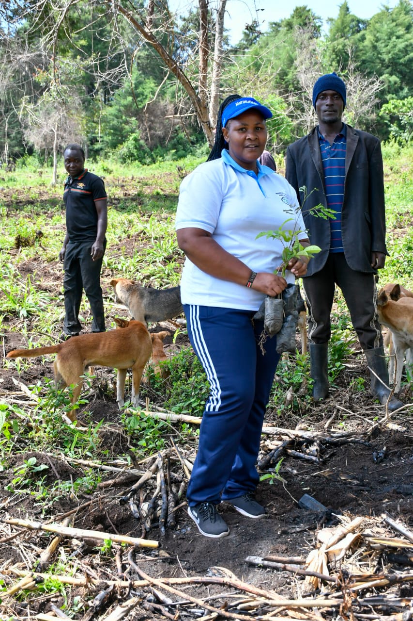 State Department Undertakes Tree Growing Activity in Lambwe Forest, Homabay County