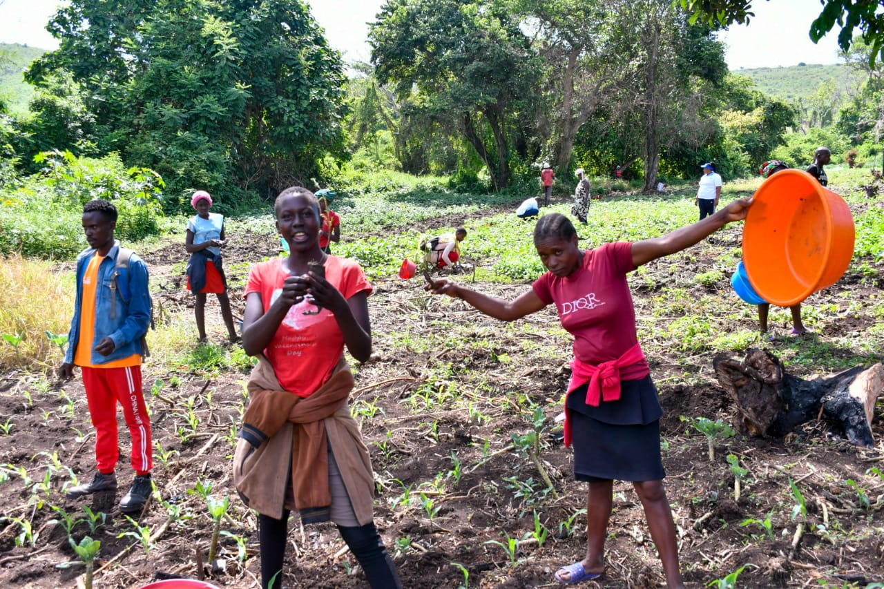 State Department Undertakes Tree Growing Activity in Lambwe Forest, Homabay County