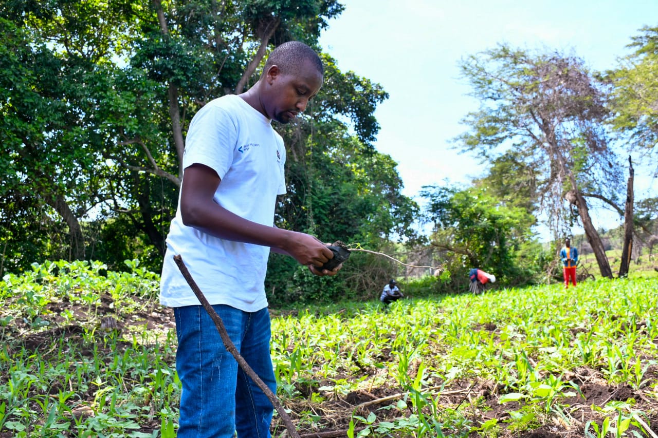 State Department Undertakes Tree Growing Activity in Lambwe Forest, Homabay County