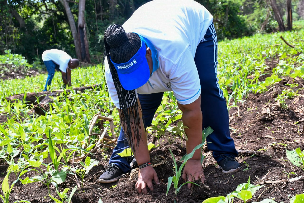 State Department Undertakes Tree Growing Activity in Lambwe Forest, Homabay County