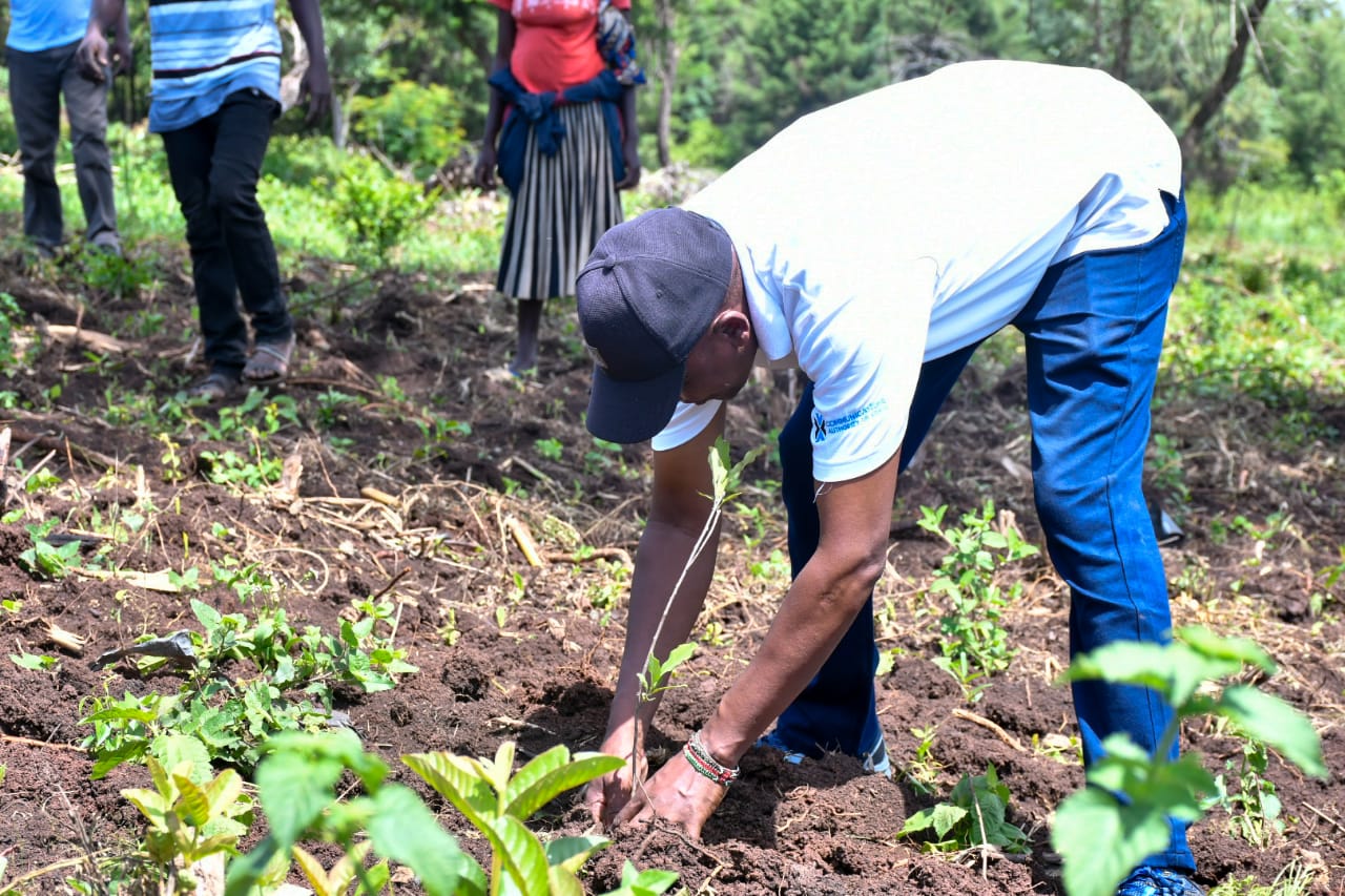 State Department Undertakes Tree Growing Activity in Lambwe Forest, Homabay County