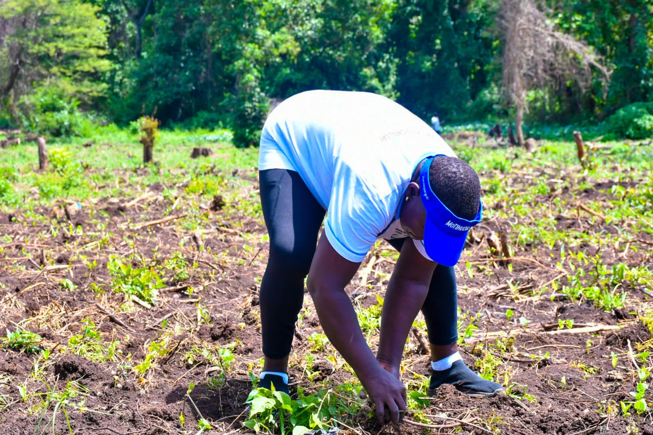 State Department Undertakes Tree Growing Activity in Lambwe Forest, Homabay County
