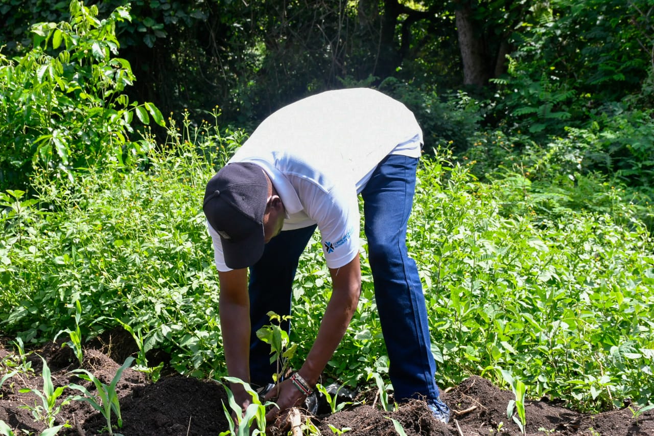 State Department Undertakes Tree Growing Activity in Lambwe Forest, Homabay County