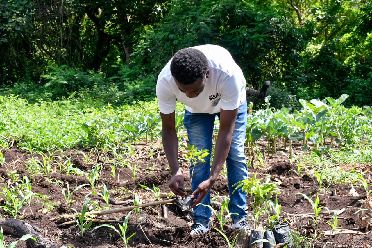 State Department Undertakes Tree Growing Activity in Lambwe Forest, Homabay County