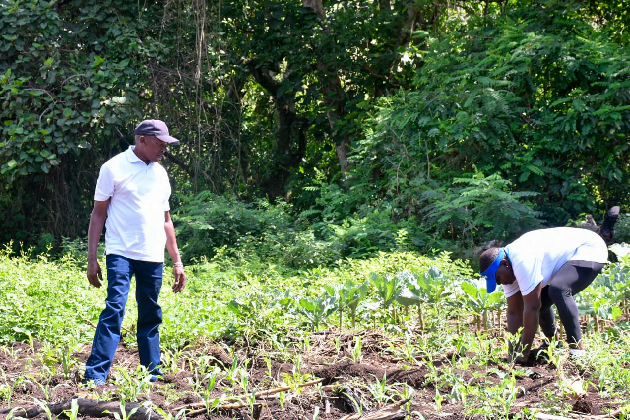 State Department Undertakes Tree Growing Activity in Lambwe Forest, Homabay County