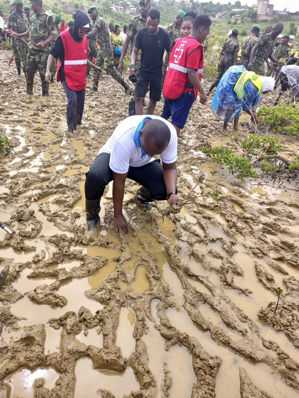 Ministry Of Roads and Transport Leads Mangrove Planting Initiative in Jomvu, Mombasa County on National Tree Growing Day 2024