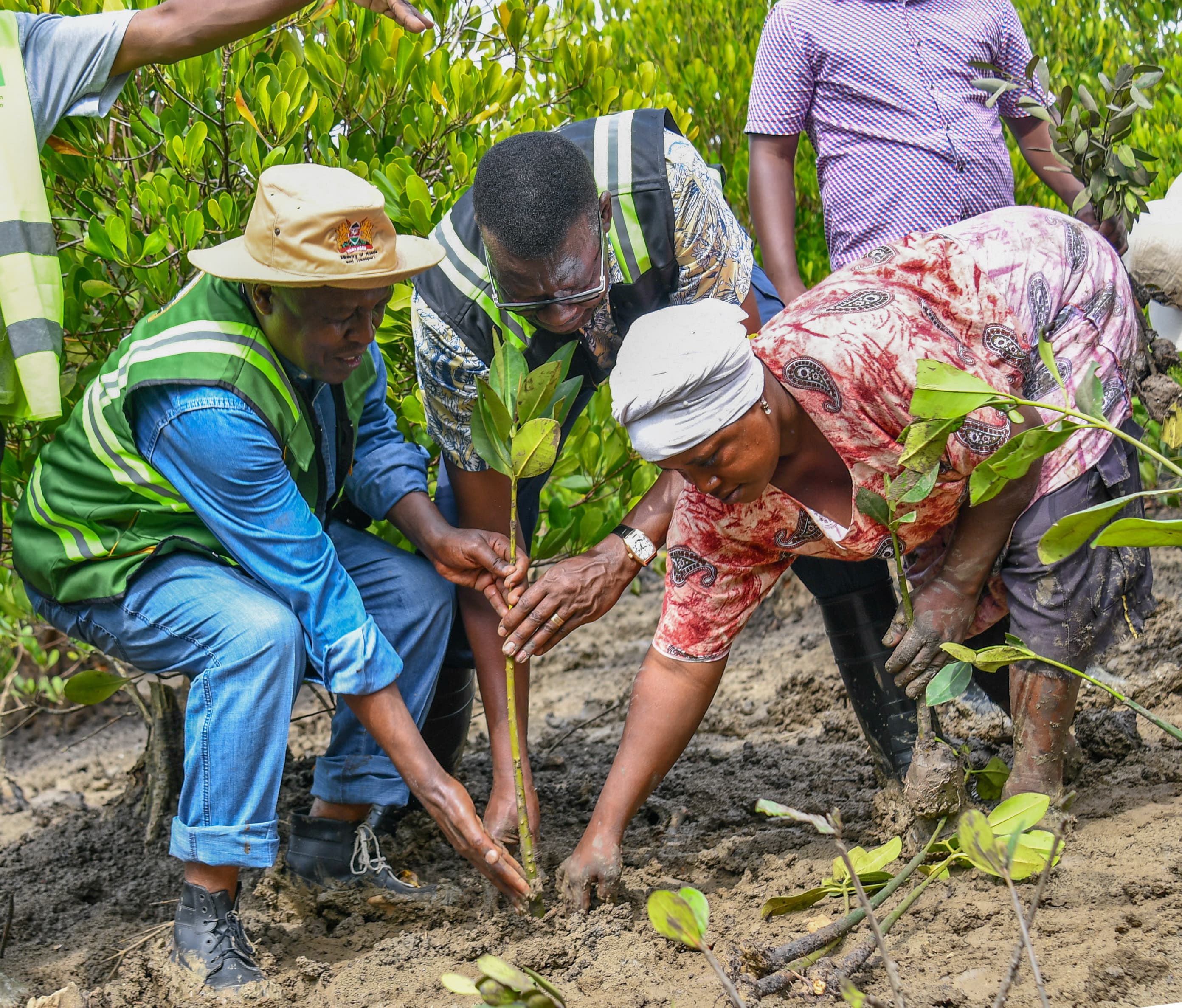 Cabinet Secretary Leads Tree Growing Exercise at Dongo Kundu Creek, Kwale County