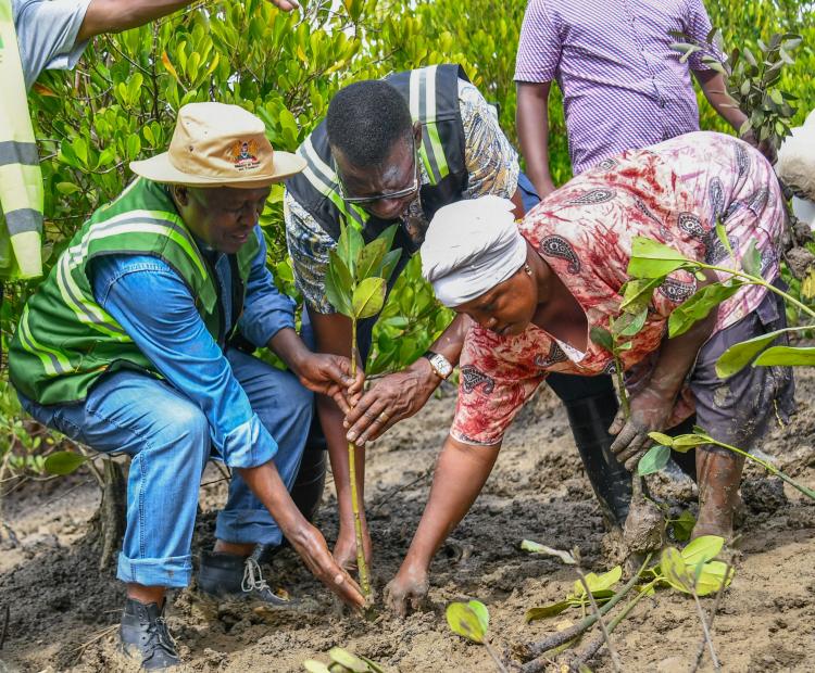 Cabinet Secretary Leads Tree Growing Exercise at Dongo Kundu Creek, Kwale County