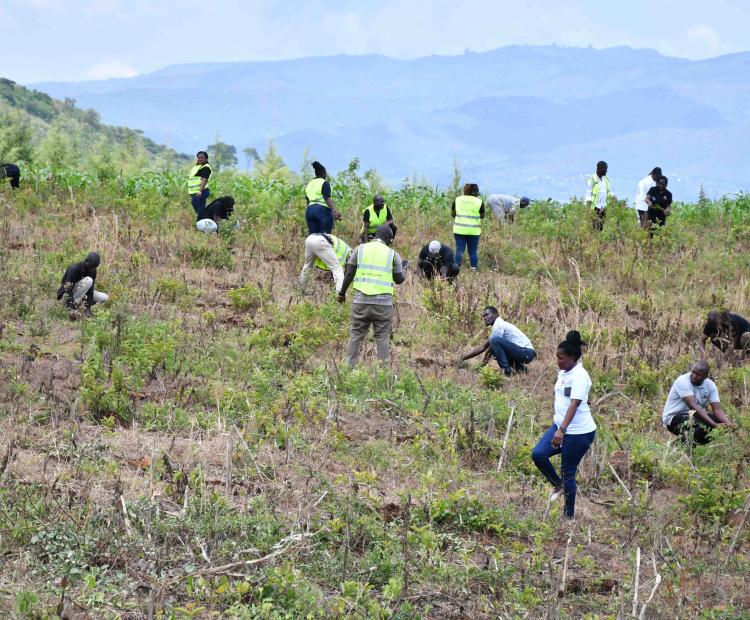 Ministry of Roads and Transport during tree planting exercise at Lambwe Forest, Thursday November 7, 2024