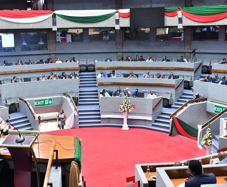 Ministry of Road and Transport Partake in Public Hearing for FY2025/26 and Medium-Term Budget