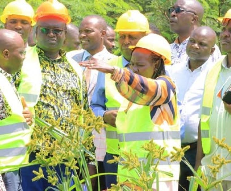 the National Steering Committee