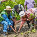 Cabinet Secretary Leads Tree Growing Exercise at Dongo Kundu Creek, Kwale County