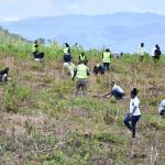 Ministry of Roads and Transport during tree planting exercise at Lambwe Forest, Thursday November 7, 2024